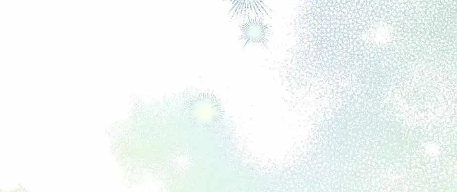 8d41f224a62c