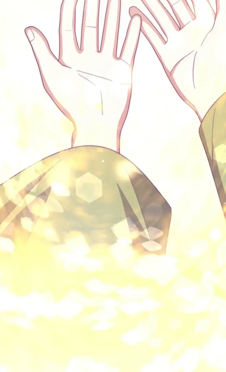55543dbdc2fb