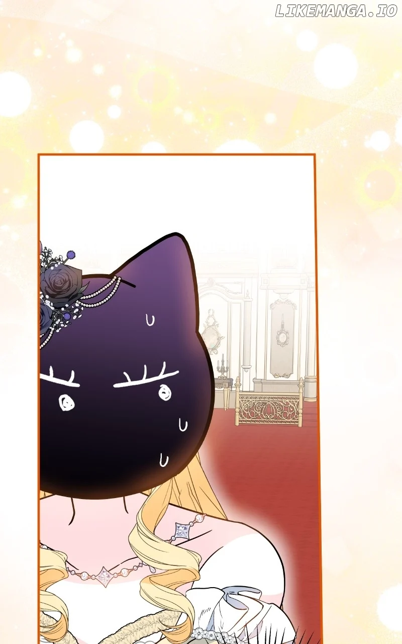 ch 51 71