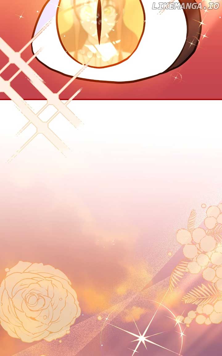 ch 54 81