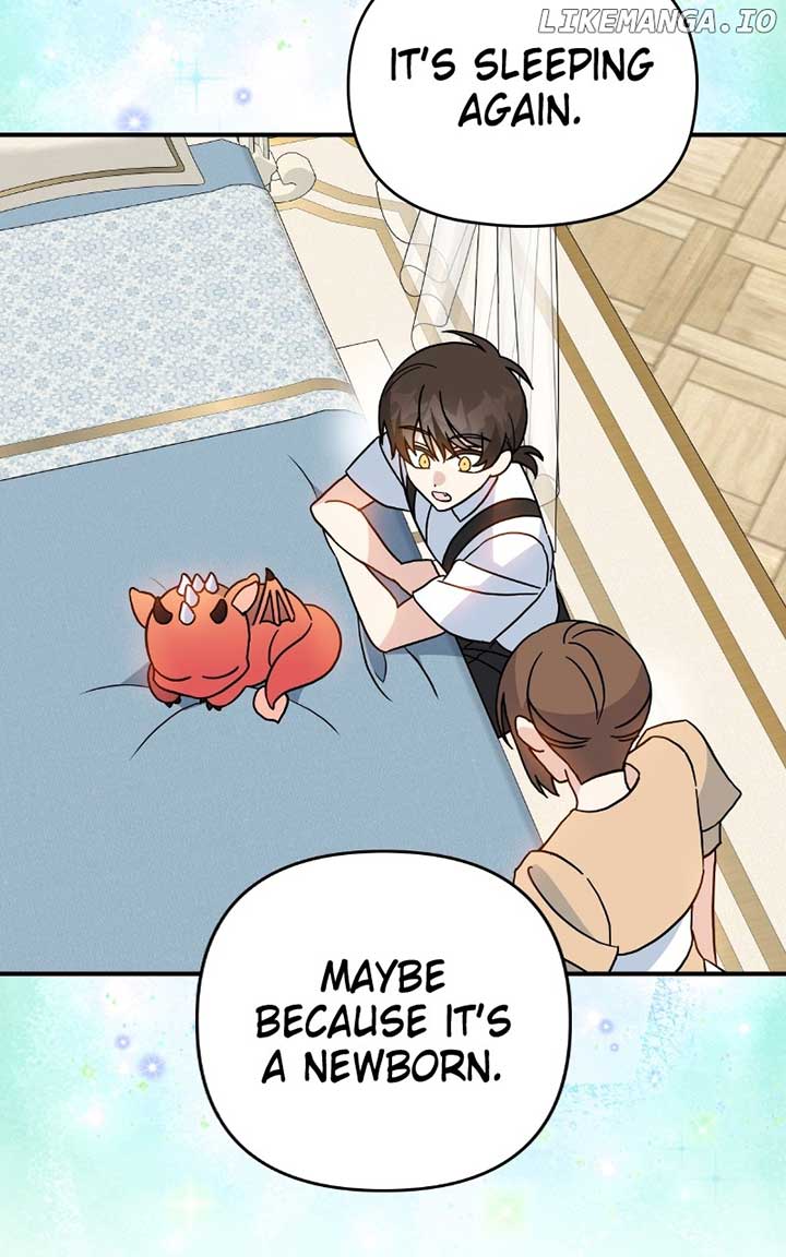 ch 55 56