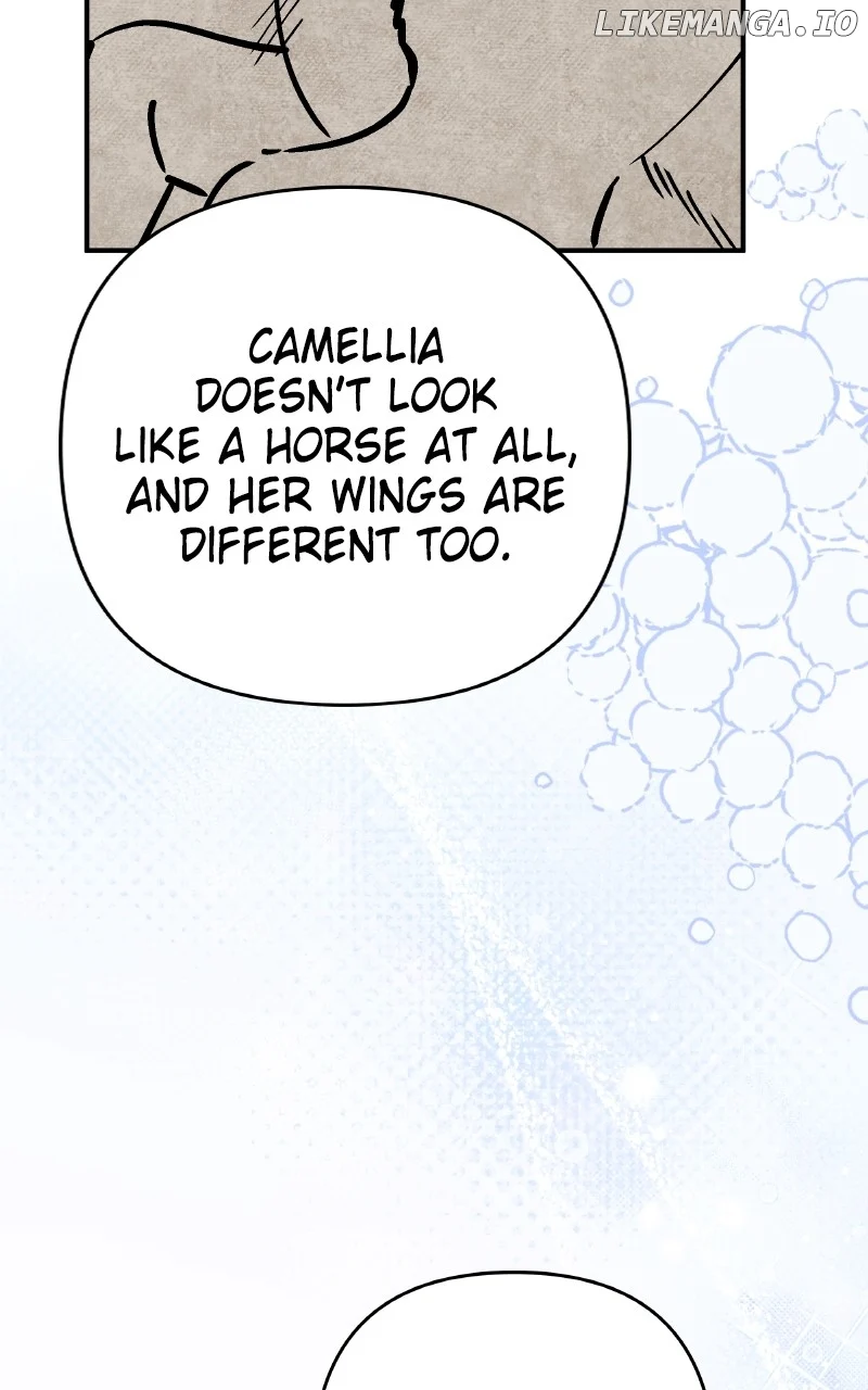 ch 57 61