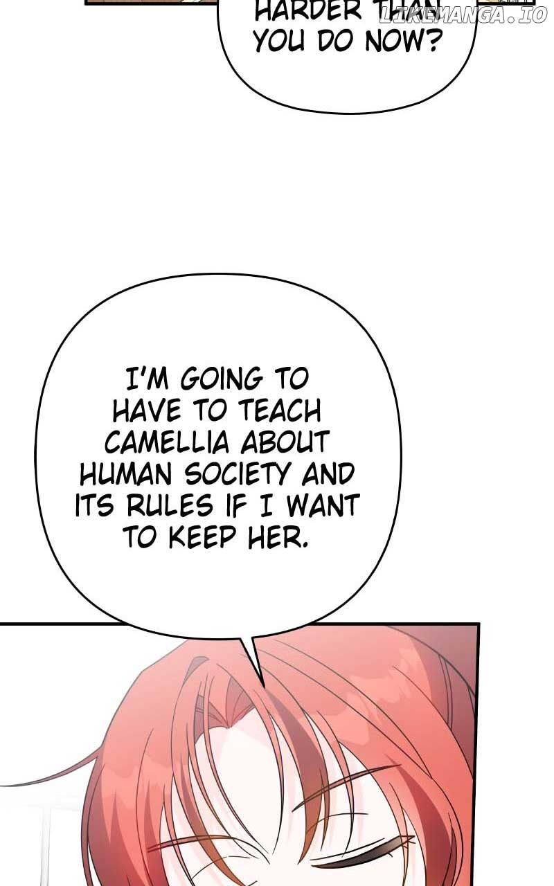 ch 58 66