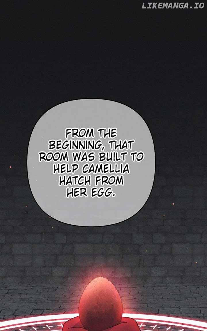 ch 65 1