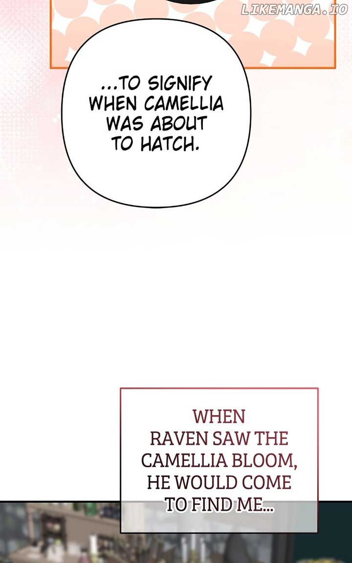 ch 65 36