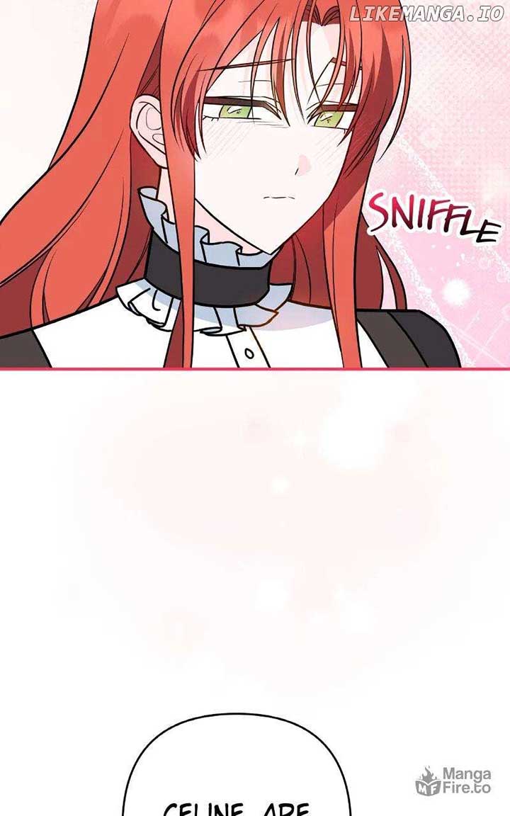 ch 66 45