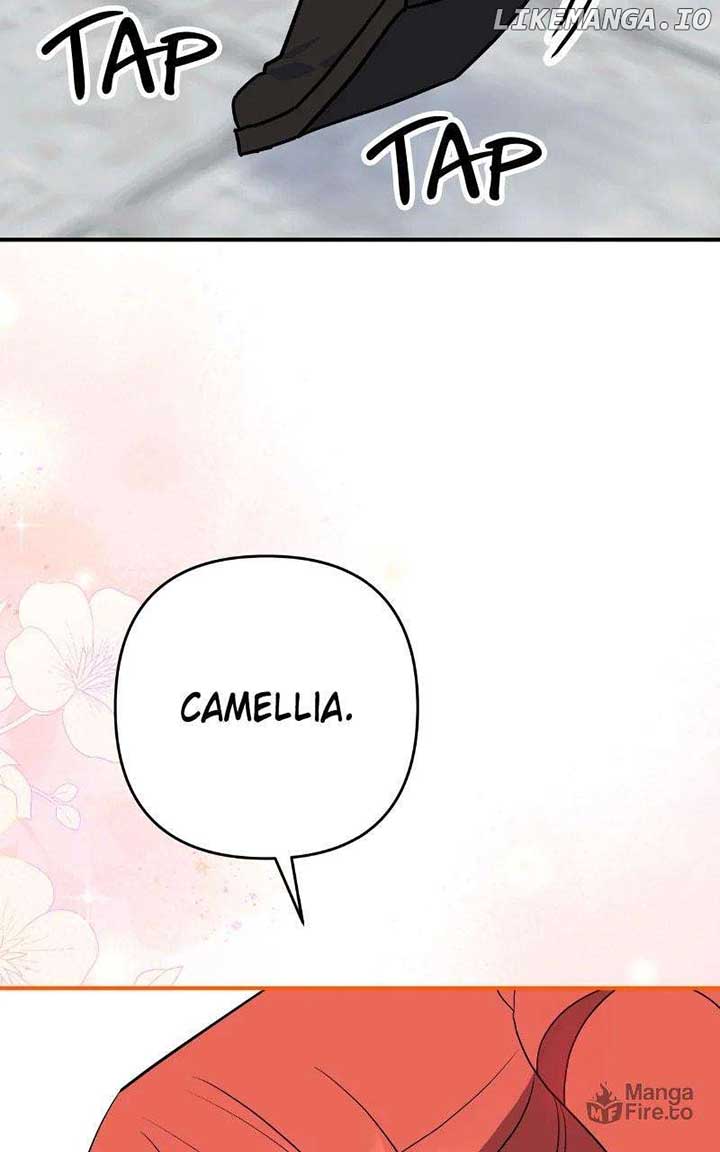 ch 66 95