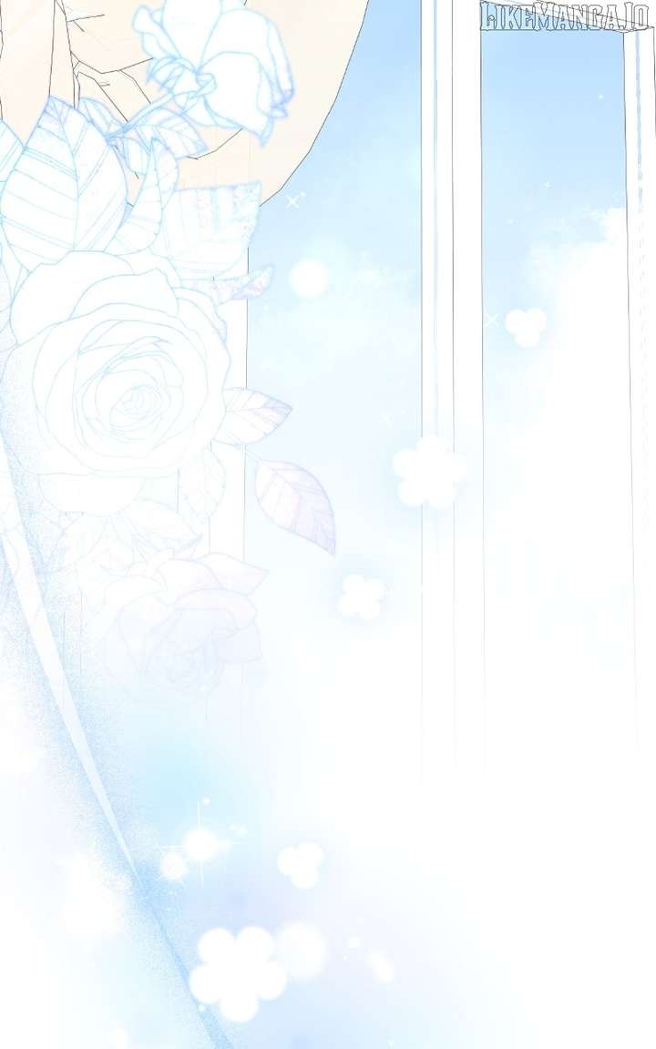 81