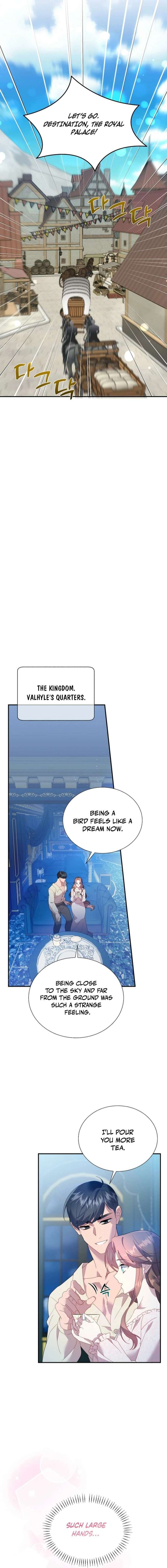 ch 154 11