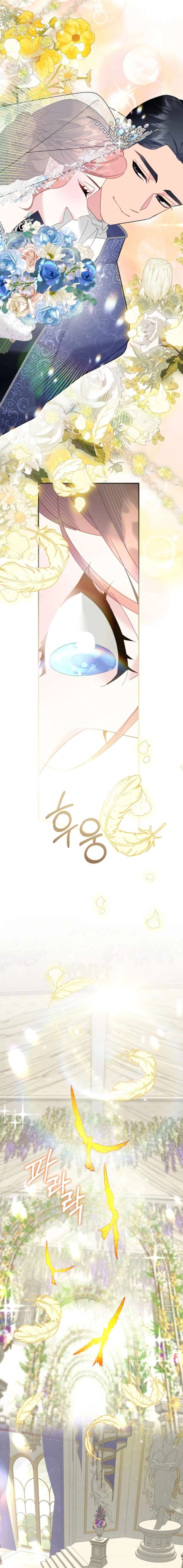 ch 156 14