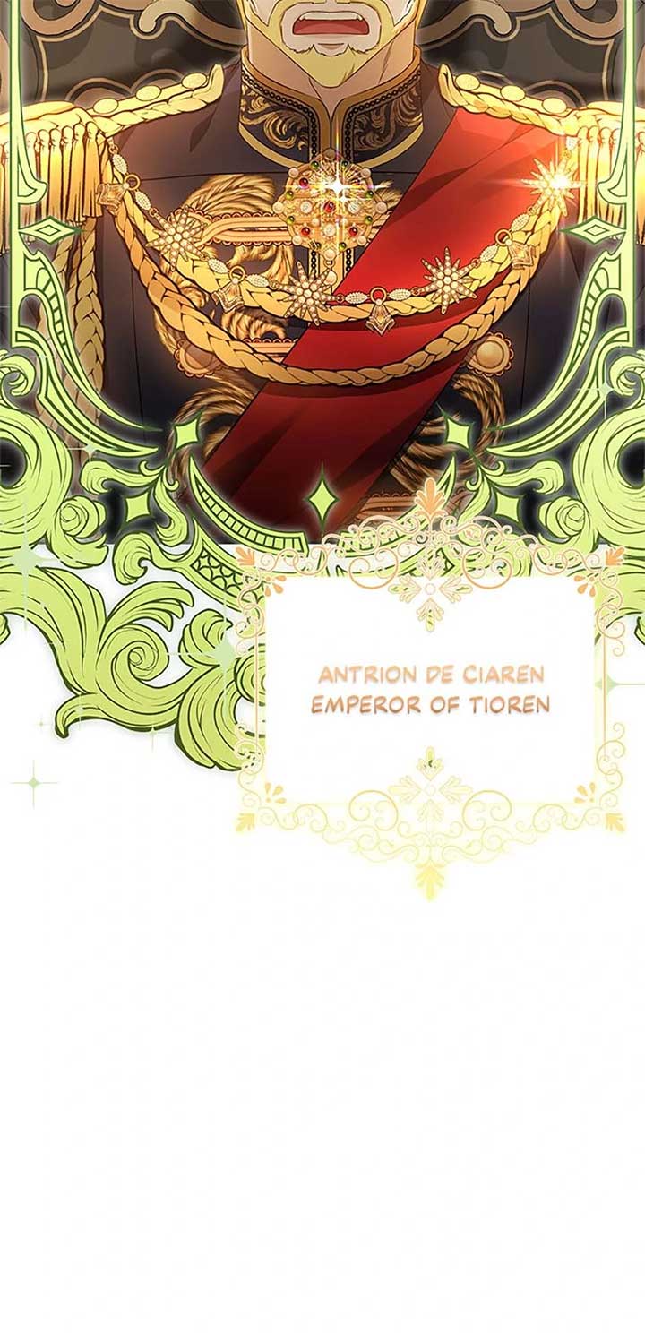 ch 82 28