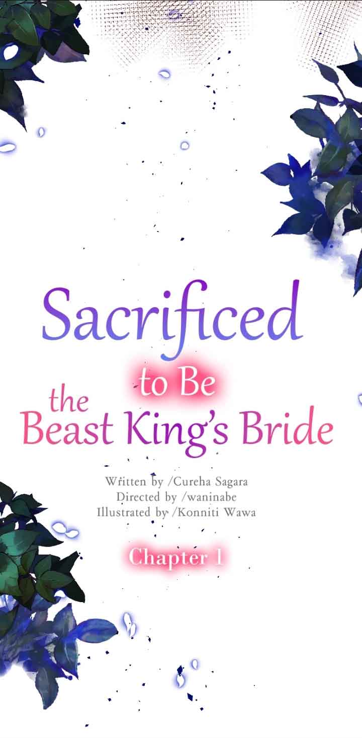 Sacrificed to Be the Beast King’s Bride Chapter 1 240 17