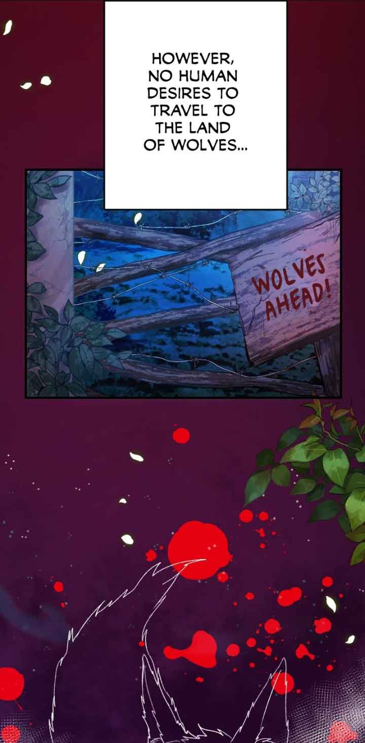 Sacrificed to Be the Beast King’s Bride Chapter 1 246 23
