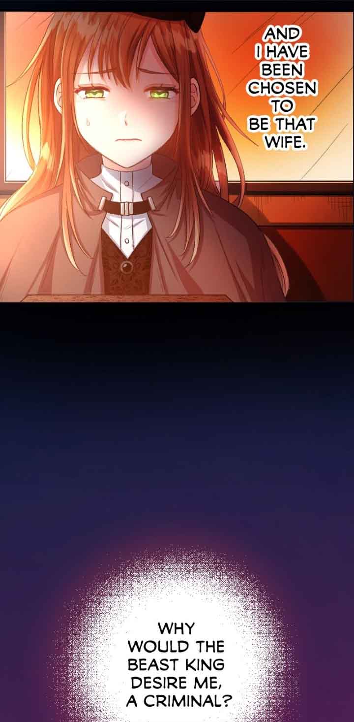 Sacrificed to Be the Beast King’s Bride Chapter 1 249 26
