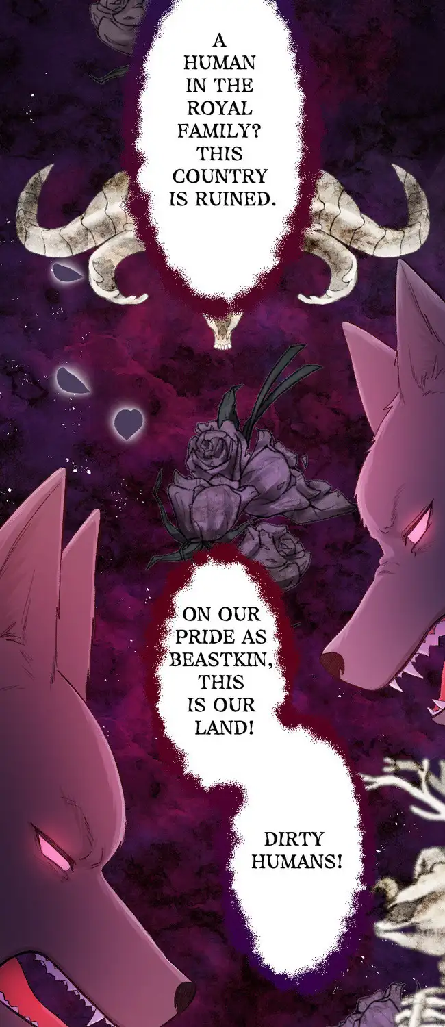 Sacrificed to Be the Beast King’s Bride Chapter 13 207 023