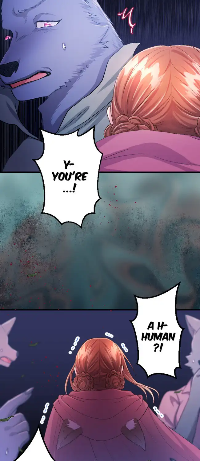 Sacrificed to Be the Beast King’s Bride Chapter 13 224 040