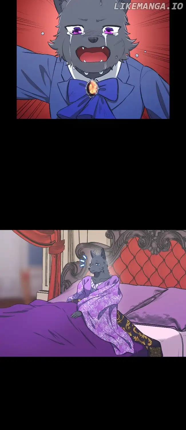 43