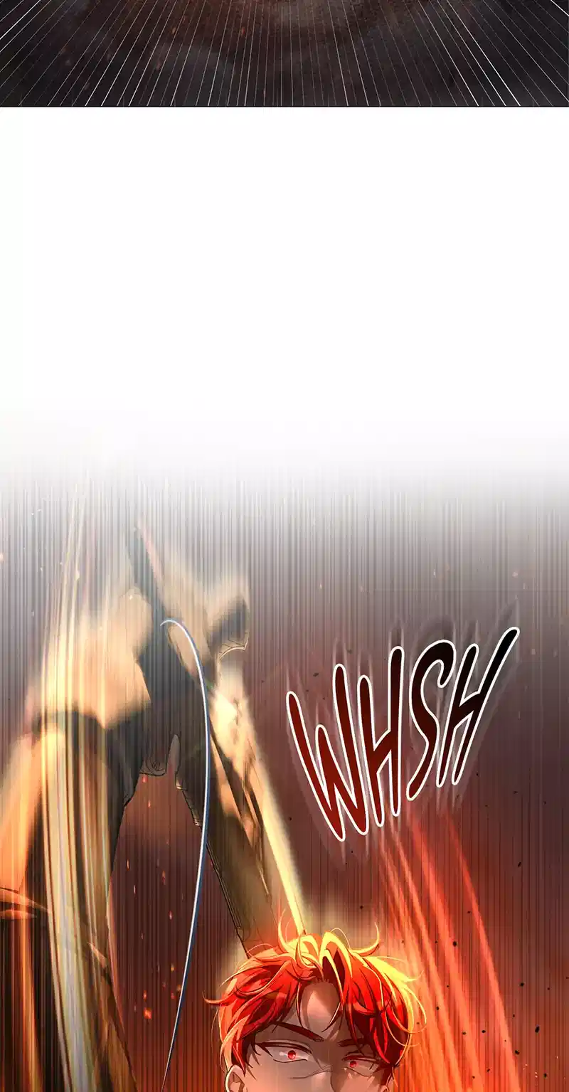 ch 55 17
