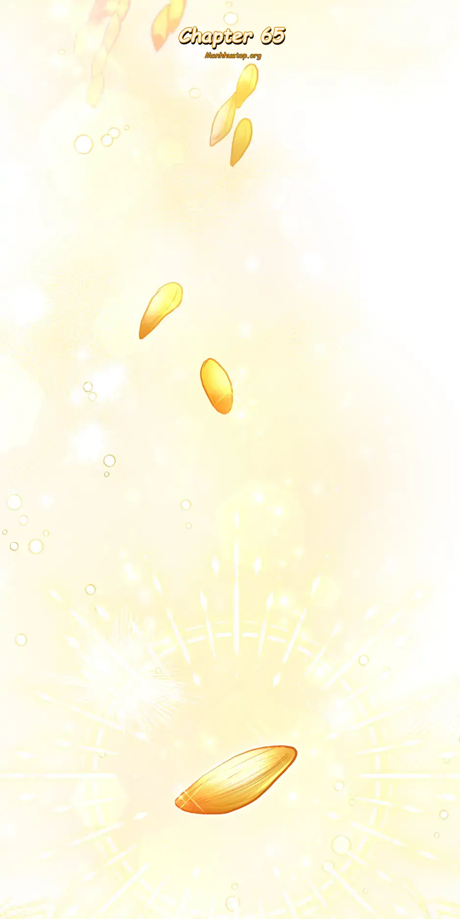 ch 65 74