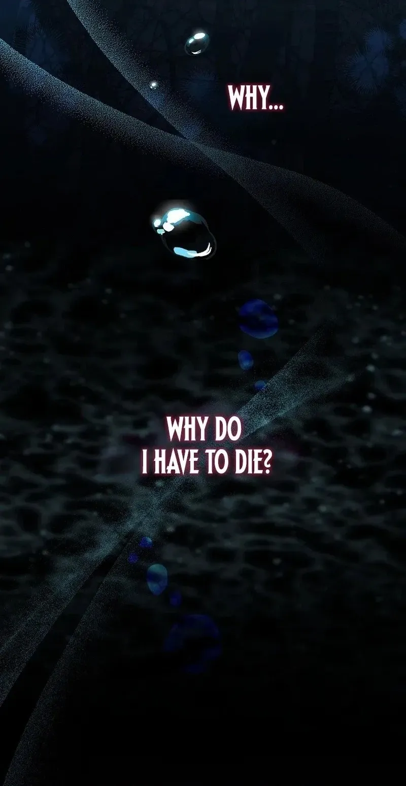 0e29a00cfe3e