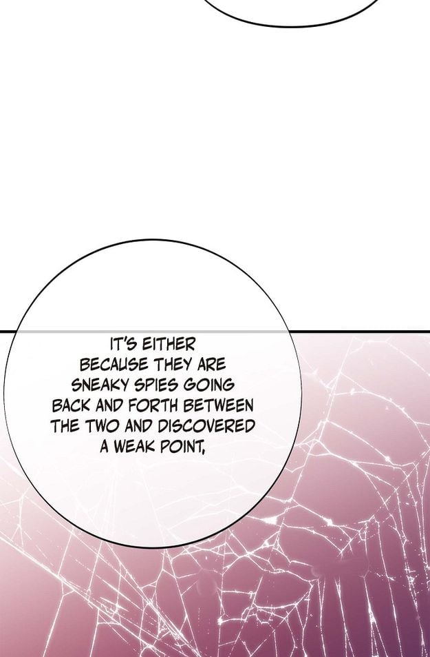 81