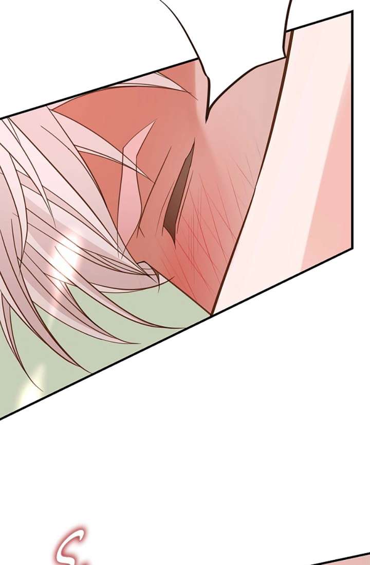 ch 101 96