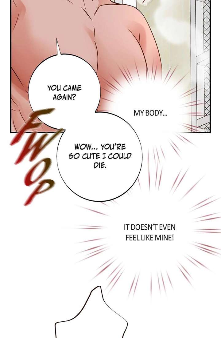 ch 102 31