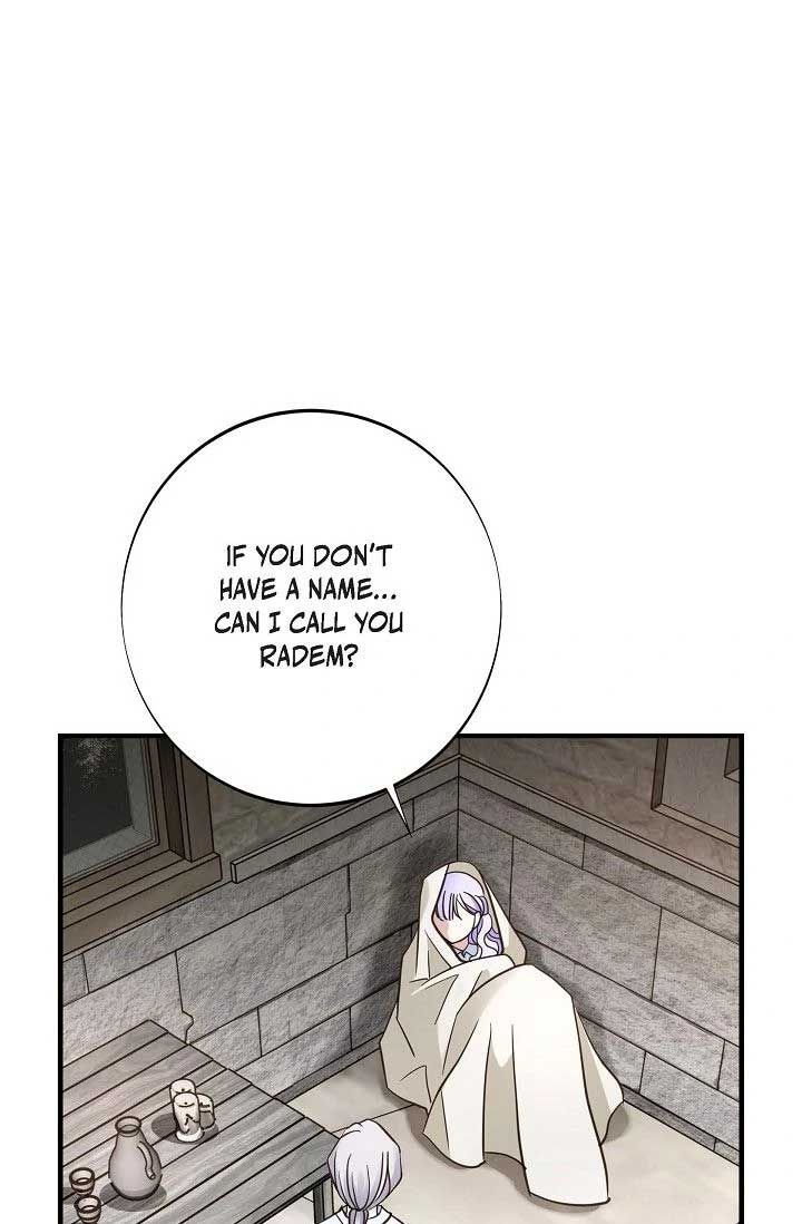 ch 52 1