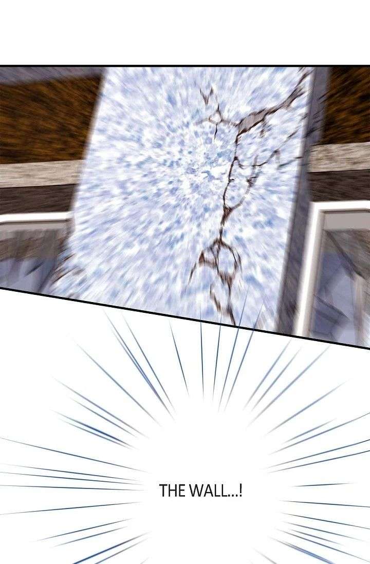ch 95 15