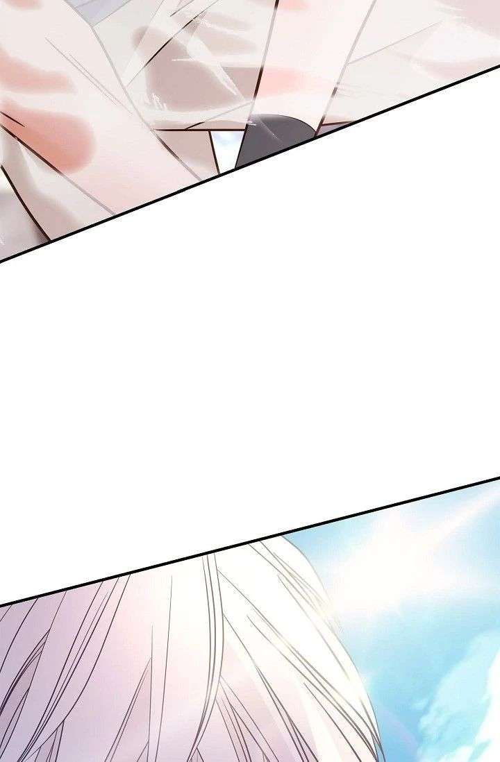 ch 95 20