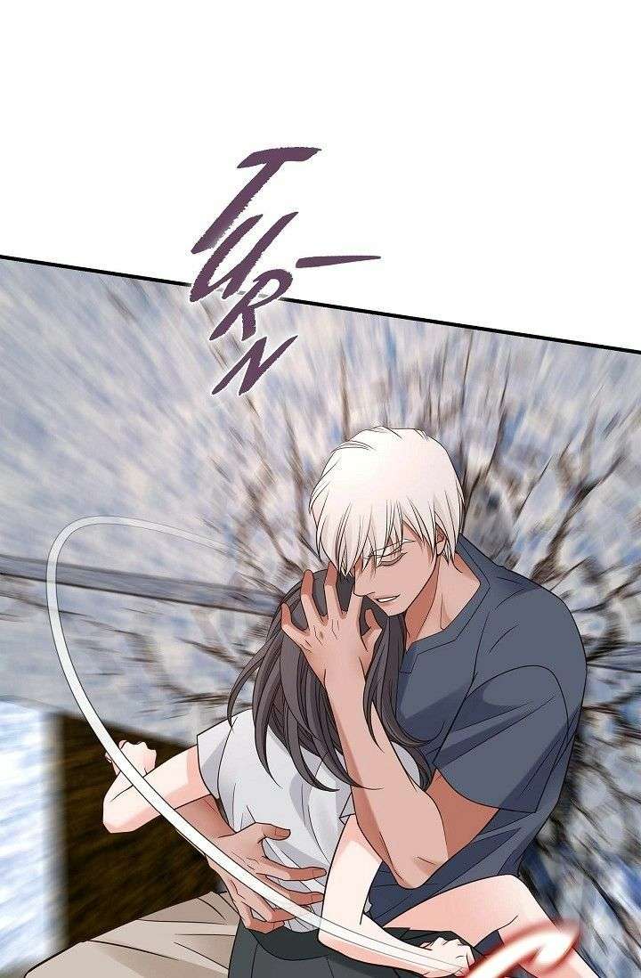 ch 95 23