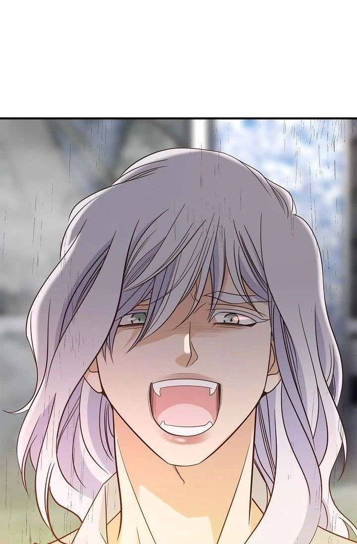 ch 95 33