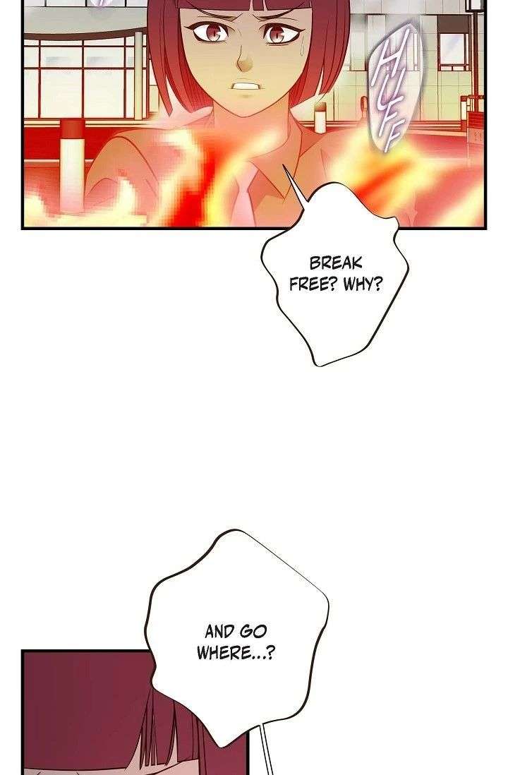 ch 95 36