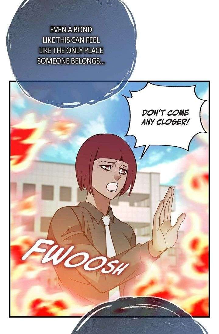 ch 95 41