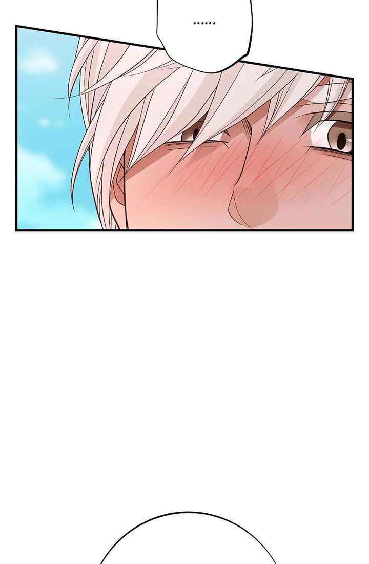 ch 97 102