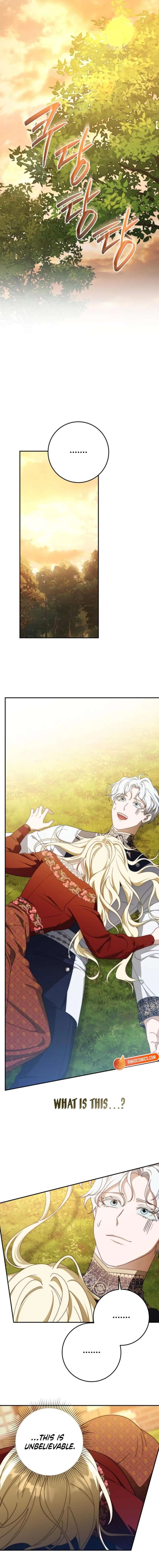 ch 99 15