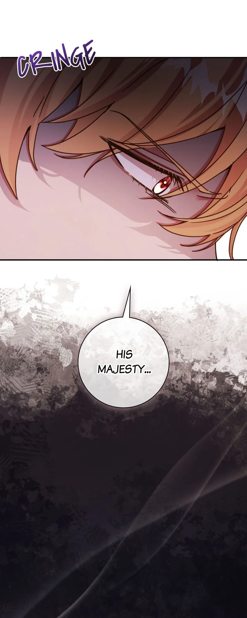 The Emperor’s Sleepless Nights Chapter 10 246 57