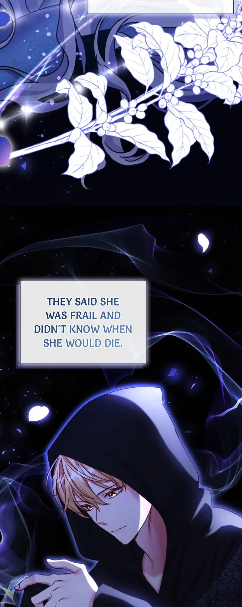 The Emperor’s Sleepless Nights Chapter 19 299 52