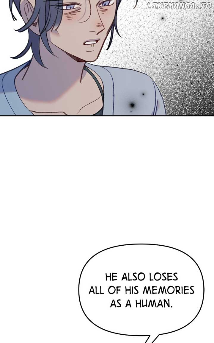 ch 47 31
