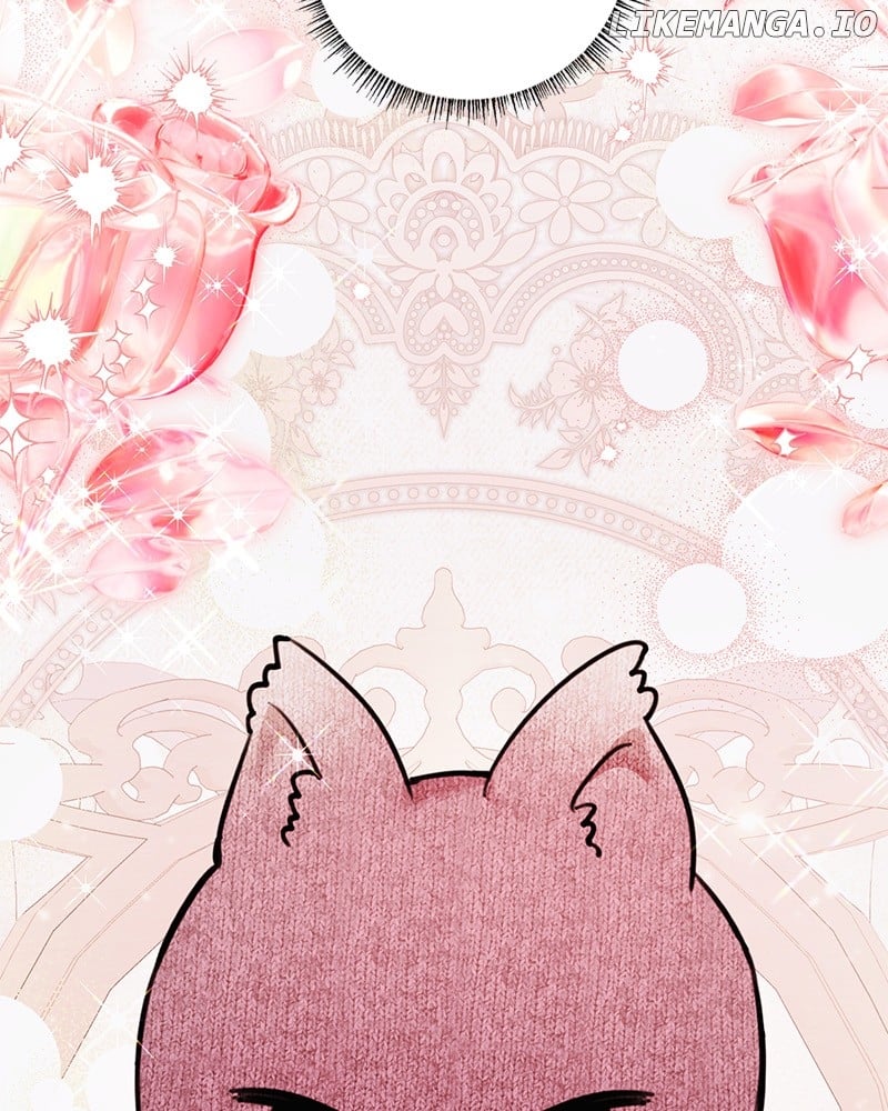 ch 37 155