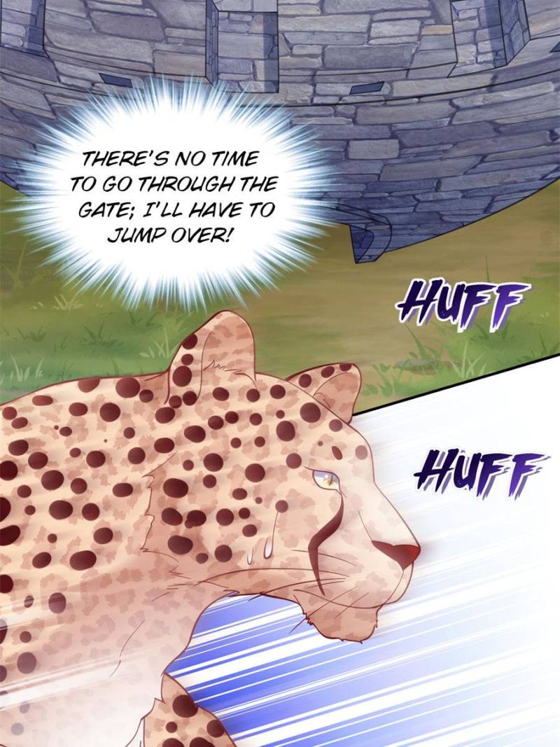 ch 626 36