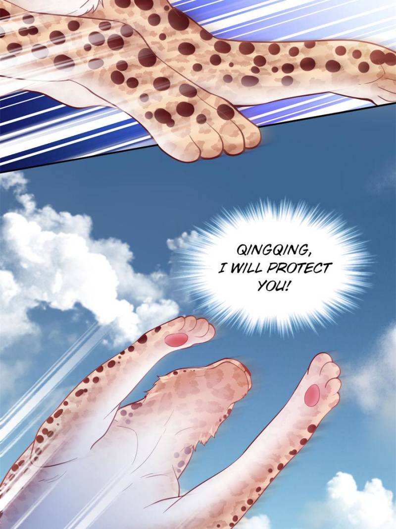 ch 626 37