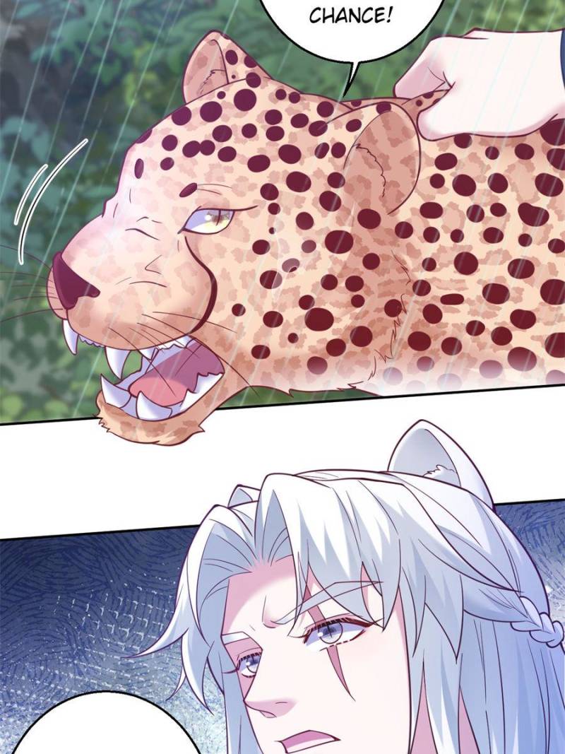 ch 641 36