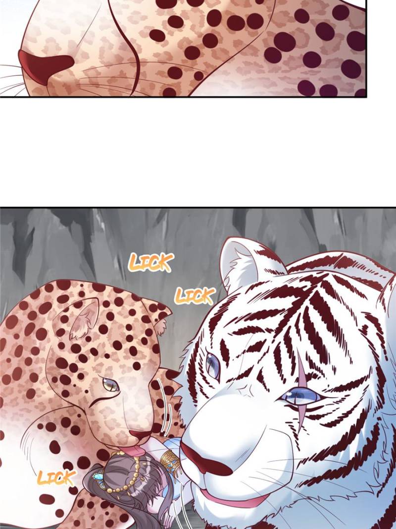 ch 652 11