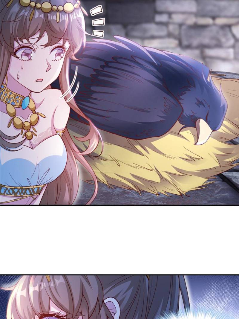 ch 663 19