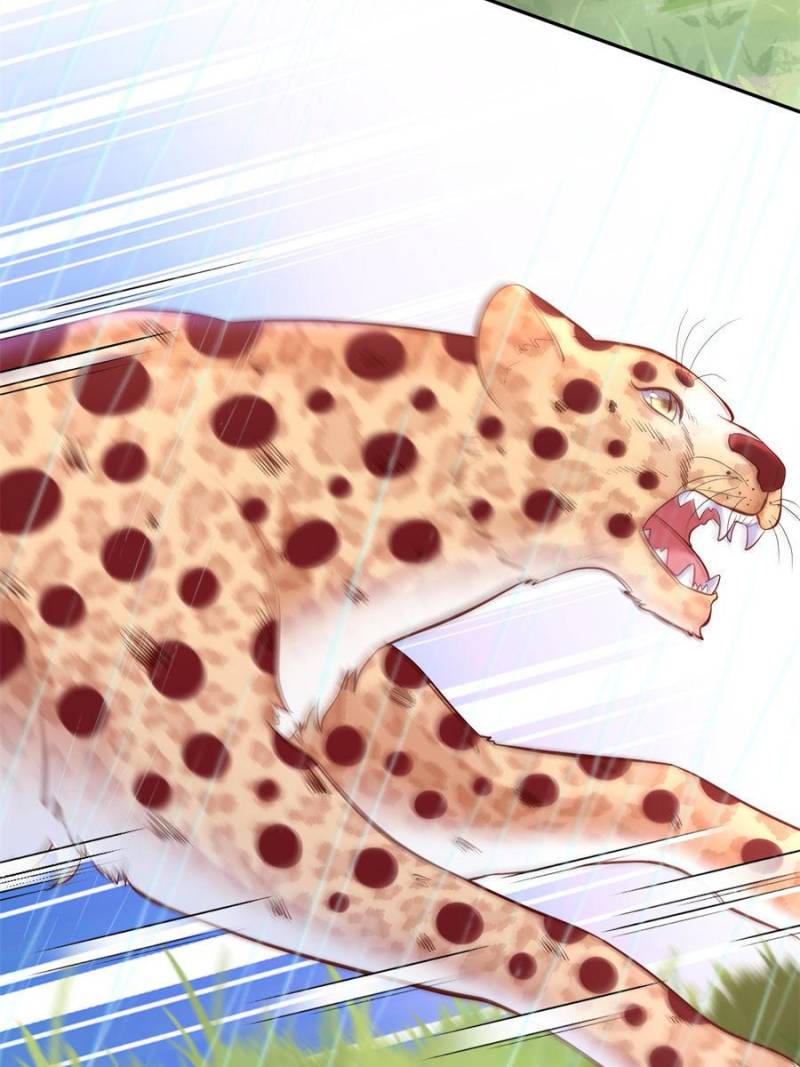 ch 664 25