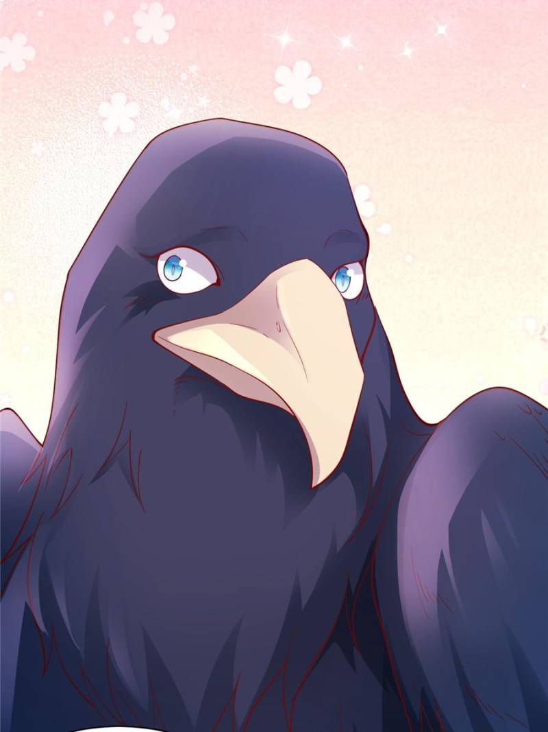 ch 671 25