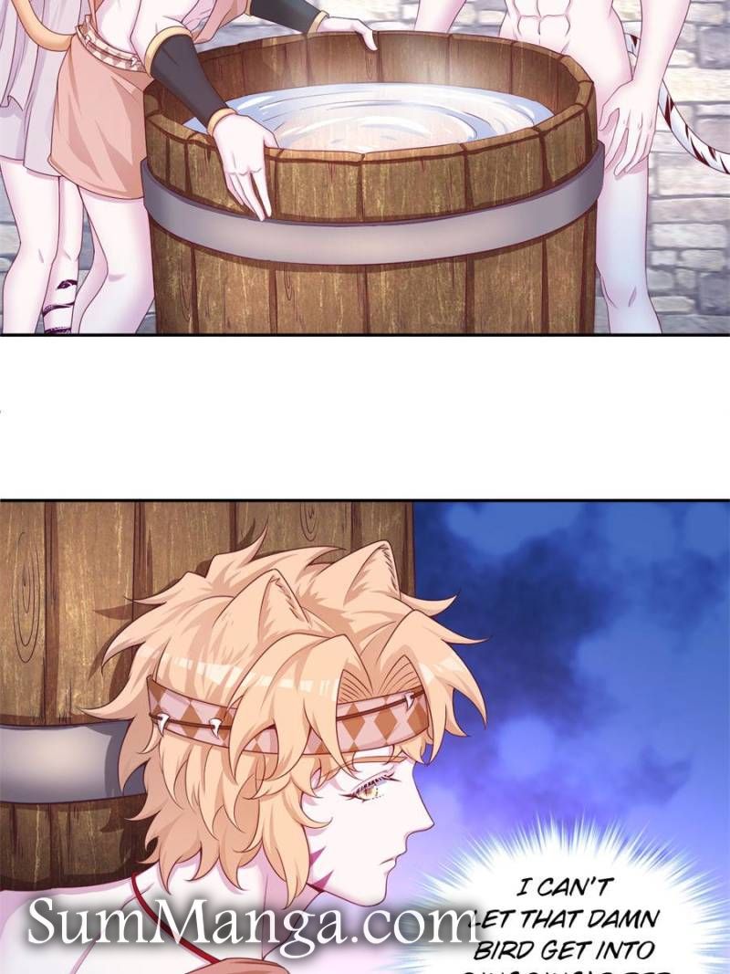 ch 674 44