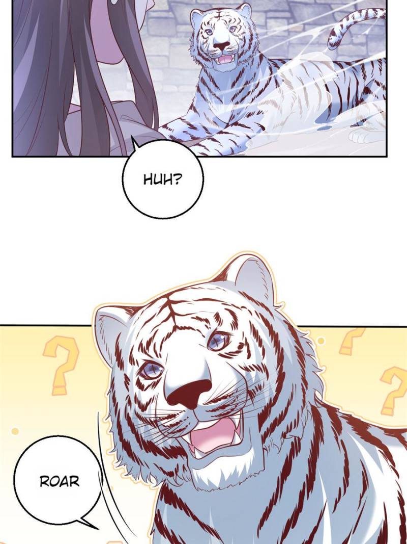 ch 674 51