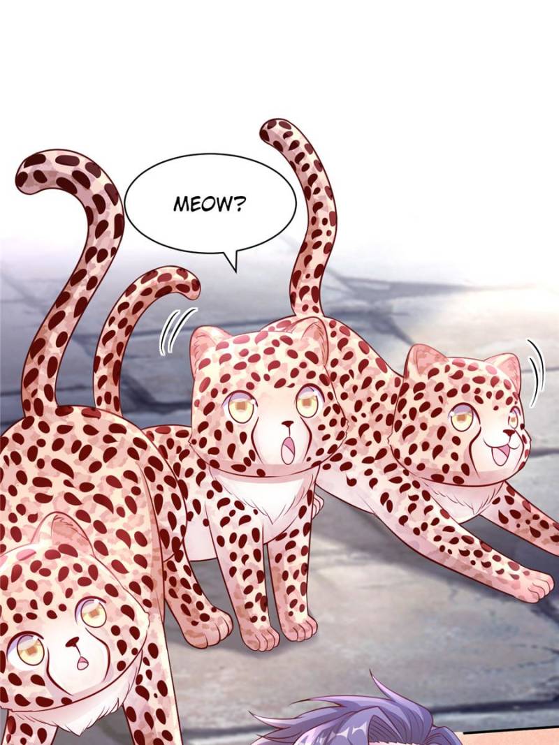 ch 677 31
